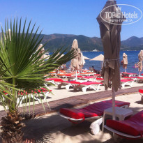 фото из отзыва ID 1372324