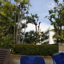 фото из отзыва ID 1372337