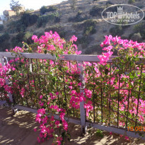 фото из отзыва ID 1372521