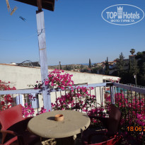 фото из отзыва ID 1372521