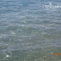 фото из отзыва ID 1372521