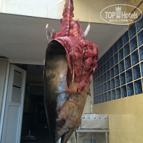 фото из отзыва ID 1372311