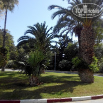 фото из отзыва ID 1372612