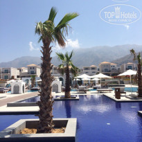 фото из отзыва ID 1372646