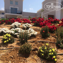 фото из отзыва ID 1372646