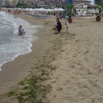 фото из отзыва ID 1372663