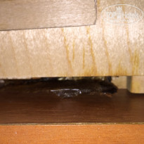 фото из отзыва ID 1372678