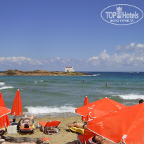 фото из отзыва ID 1372737