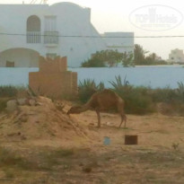 фото из отзыва ID 1372758