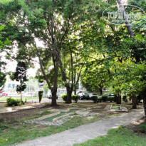 фото из отзыва ID 1372784