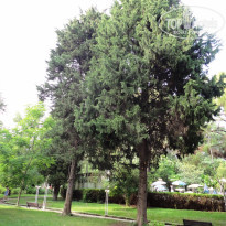 фото из отзыва ID 1372784