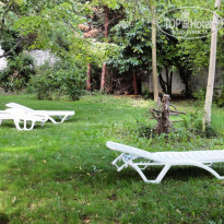 фото из отзыва ID 1372784