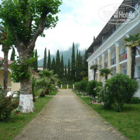 фото из отзыва ID 1372942