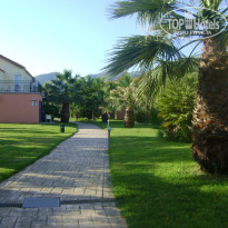 фото из отзыва ID 1373018