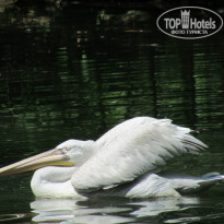 фото из отзыва ID 1372064