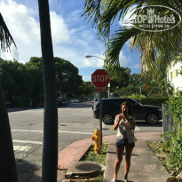 фото из отзыва ID 1373419