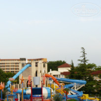 фото из отзыва ID 1373459