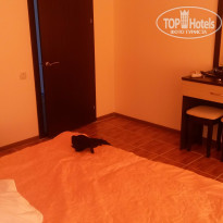 фото из отзыва ID 1373613