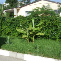 фото из отзыва ID 1373714