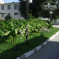 фото из отзыва ID 1373714