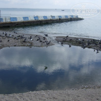 фото из отзыва ID 1373714