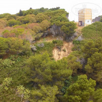 фото из отзыва ID 1373824