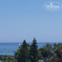 фото из отзыва ID 1373829