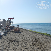 фото из отзыва ID 1373838