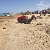 фото из отзыва ID 1373884