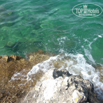 фото из отзыва ID 1374162