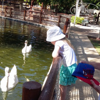 фото из отзыва ID 1374215