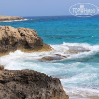 фото из отзыва ID 1374376