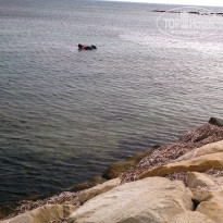 фото из отзыва ID 1374507