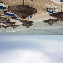 фото из отзыва ID 1374561