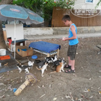 фото из отзыва ID 1374624