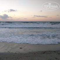 фото из отзыва ID 1374690