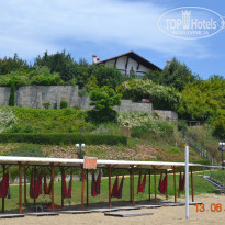 фото из отзыва ID 1374947