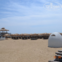 фото из отзыва ID 1374947