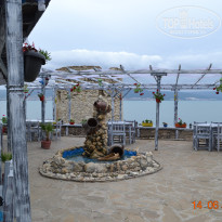 фото из отзыва ID 1374947