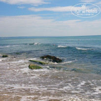 фото из отзыва ID 1375115