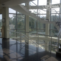 фото из отзыва ID 1374243