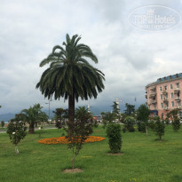 фото из отзыва ID 1374243