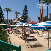 фото из отзыва ID 1375157