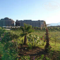 фото из отзыва ID 1375217