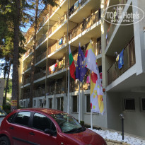 фото из отзыва ID 1375258