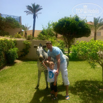 фото из отзыва ID 1375354