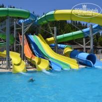 фото из отзыва ID 1375433