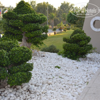 фото из отзыва ID 1375433