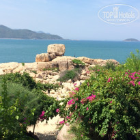 фото из отзыва ID 1375468