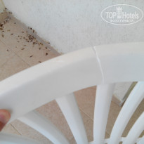 фото из отзыва ID 1375476